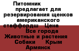 Питомник KURAT GRAD предлагает для резервирования щенков американского стаффордш › Цена ­ 25 000 - Все города Животные и растения » Собаки   . Крым,Армянск